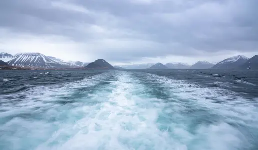 Fiskeldi: Metmánuður í útflutningi á eldisafurðum til Bandaríkjanna 