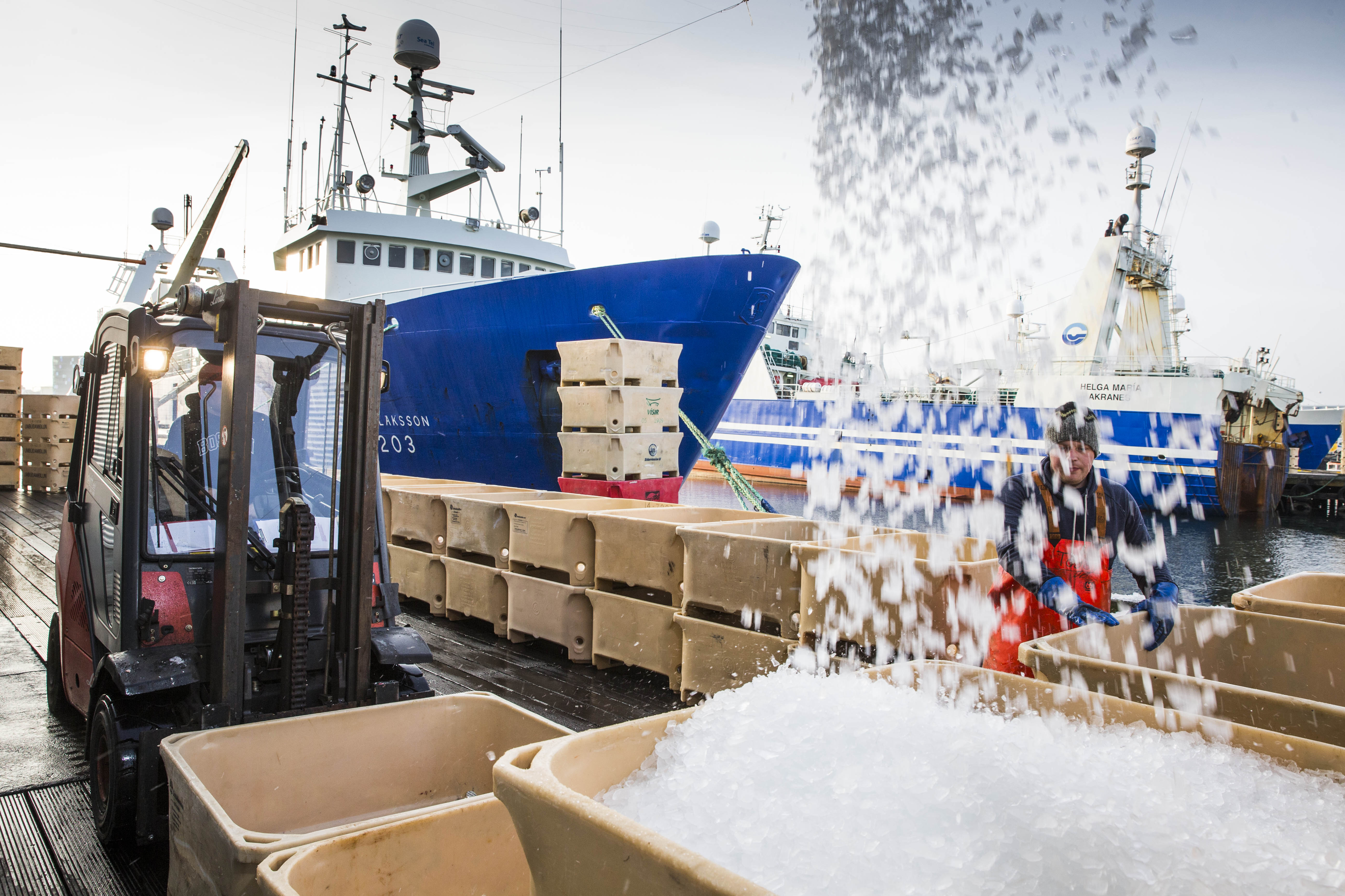 Sjávarafurðir: Ágætis aukning í febrúar