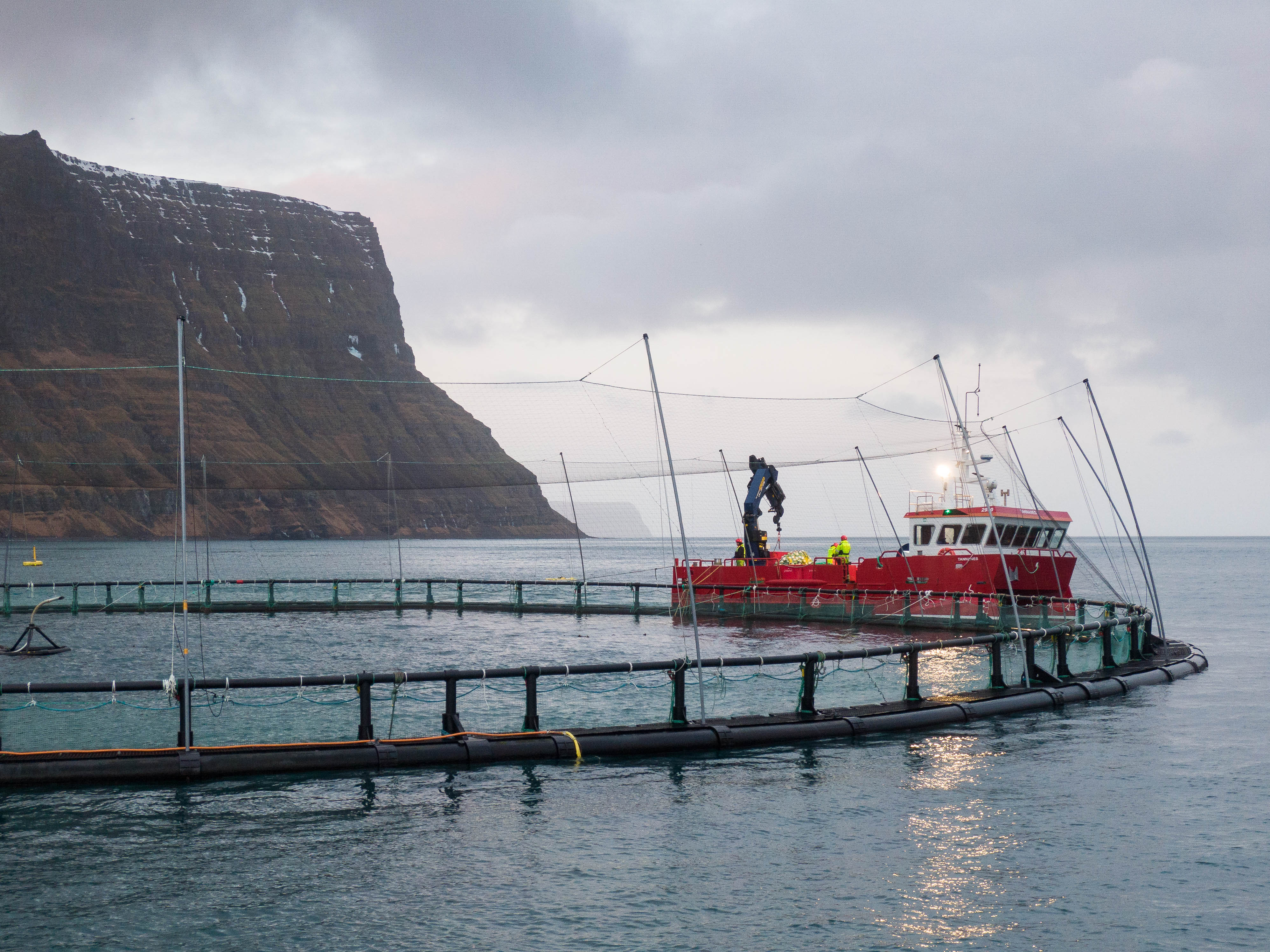 Metár að baki í útflutningstekjum af fiskeldi
