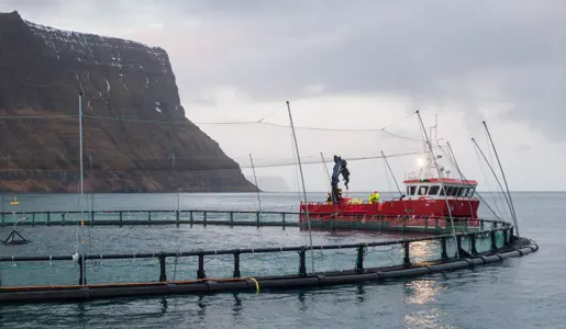 Fiskeldi: Metár að baki í útflutningstekjum